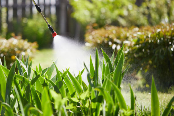 24/7 Emergency Ant Control experts in Nashville, MI