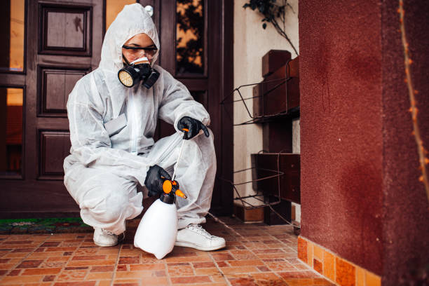 Reliable Ant Control contractor in Nashville, MI by Nex Pest Control